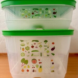 Tupperware Vent-N-Serve Produce Storage 2-Container Set With Venting Lids